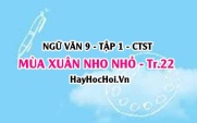 Soạn bài Mùa Xuân Nho Nhỏ trang 22 Ngữ văn lớp 9 tập 1 Chân trời sáng tạo